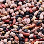 Beans/Legumes