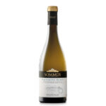 Sommos Sauvignon Blanc Colleción