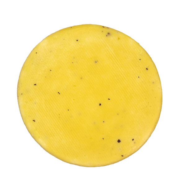 OROIT_Untitled_design_38