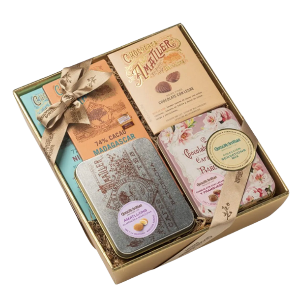 SC4510_Untitled_design___2025_11_13T122836.079